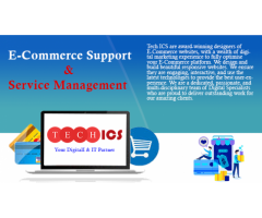 Tech ICS | E-commerce Website Design | Services