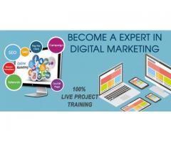 Best Digital Marketing Course in Vadodara | Learn Digital Marketing in Vadodara