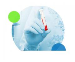 Drug Discovery services in india – Kemio Solutions