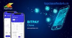 Get the Whitelabel Bitpay Clone Script - Appdupe