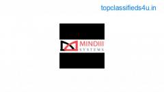 Why Mostly Industries are Choosing MINDIII Systems Pvt Ltd. for their Software Solutions ?