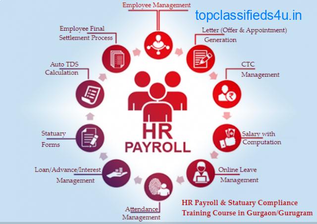 Join HR Payroll Certification - Free SAP HR Succesfactor Training Institute in Gurgaon