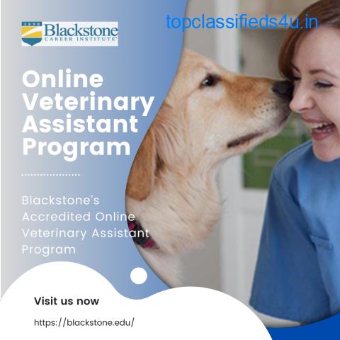 Enroll Now ! For Veterinary Assistant Program Online