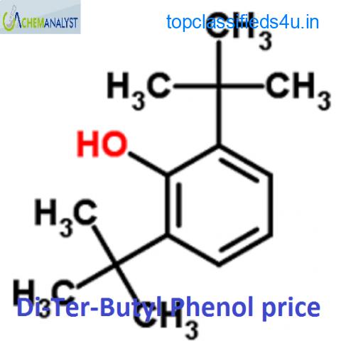 Di-Ter-Butyl Phenol Price Trend and Forecast
