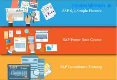 SAP S4 Hana Finance Coaching in Delhi, SLA Classes, GST,  SAP FICO Training Institute,
