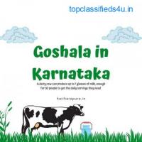 Goshala in Karnataka