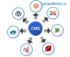  Best CMS service Provider Company in jaipur India