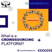 What is a Crowdsourcing Platform? 