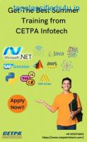Learn something new in this Summer Training from CETPA