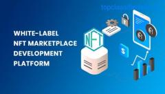 White Label NFT Marketplace Development - Saves time, money, and resources.