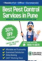 Best Pest Control Services in Pune at Affordable Charges