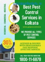 Best Pest Control Services in Kolkata at Low Cost