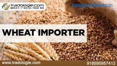 Wheat Importer