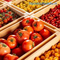 Online Hydroponic Fruits and Vegetables in India