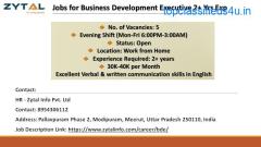 Jobs for Business Development Executive 2+ Yrs Exp - Zytal Hiring!