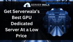 Get Serverwala’s Best GPU Dedicated Server At a Low Price 