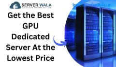 Get the Best GPU Dedicated Server At the Lowest Price