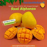 Buy Alphonso Mango Online | Authentic Alphonso Mango Pulp for Sale