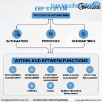 Transform Your Business with Global Infocloud's ERP Solutions
