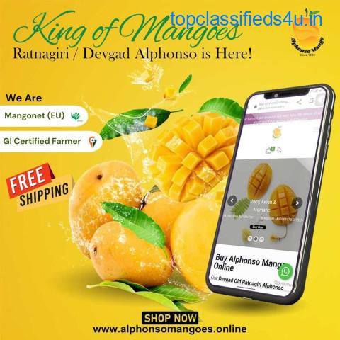 Buy Hapus Mangoes Online | Authentic Ratnagiri and Devgad Alphonso Mango Pulp