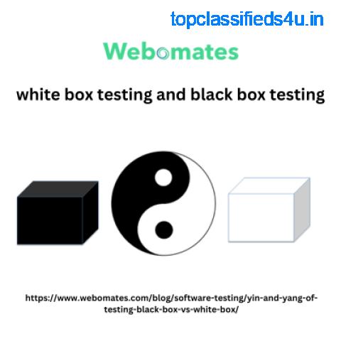 white box testing and black box testing