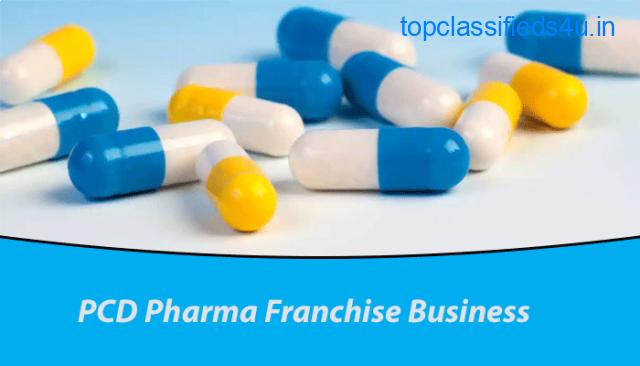 Advantages & Necessity Of Promotional Support In PCD Pharma Franchise Business?