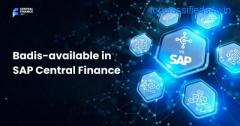 Revolutionize Your Finance: Embrace BADIs in SAP Central Finance!