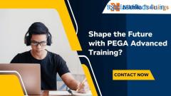 pega training for beginners