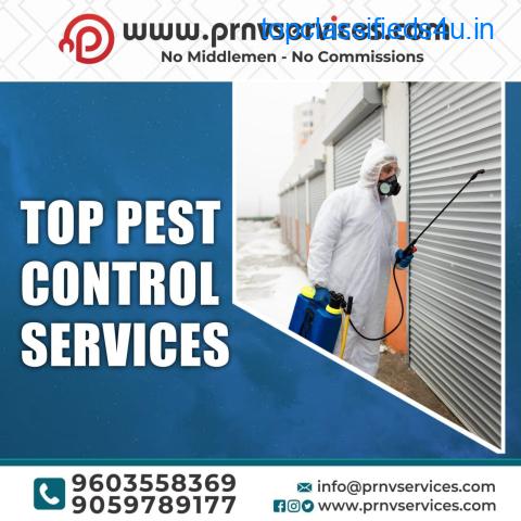 Best pest control services near narayanguda | madhapur