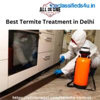 Best Termite Treatment in Delhi 
