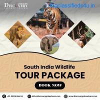 Top tour operators in India/discoveryprimetours.com