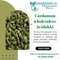 Cardamom Wholesalers In Idukki | Cardamom Suppliers In Kerala