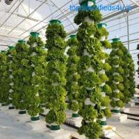 Buy the fully recyclable Coco product for Greenhouses, the best alternative for peat moss