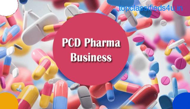 How To Prepare A Successful PCD Pharma Business Plan
