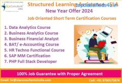 Accounting Training in Delhi, Noida & Gurgaon, Free SAP FICO, 100% Job Placement