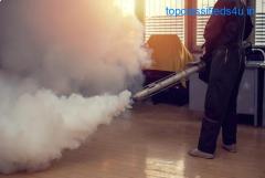 Mosquito Control Services in Bhubaneswar       