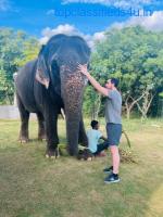 Best Elephant Sanctuary in India - Elefriendride