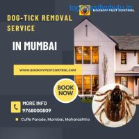 DOG-TICK REMOVAL SERVICE IN MUMBAI | 9768000809