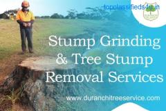 Stump Grinding & Tree Stump Removal In Las Vegas