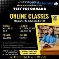 Online French Language Learning 
