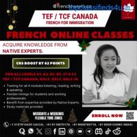 Online French Language Learning