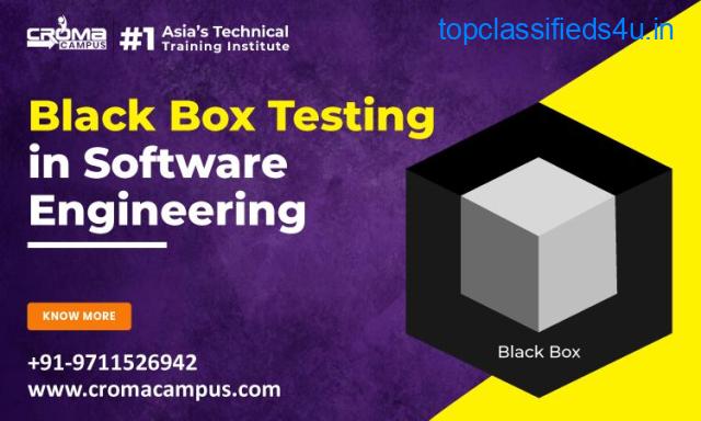 Black Box Testing in Software Engineering