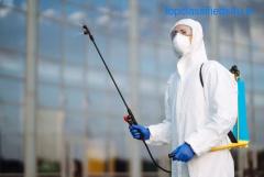 Pest Control in Pune at Reasonable Rates