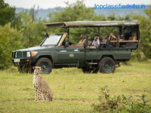 7 African Safari Tips for Planning Your Trip