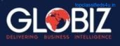 Globiz Technology Inc - Web and Mobile App Development Company