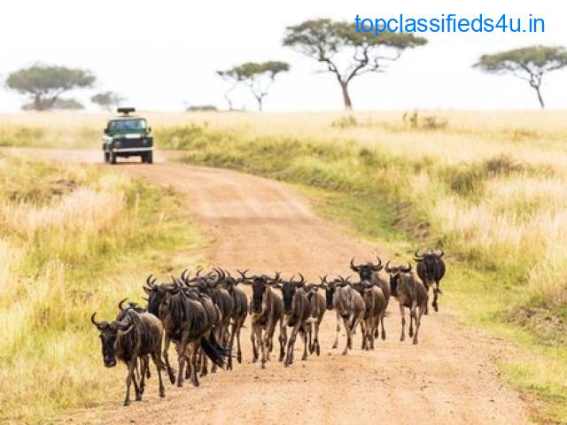 Safari in Tanzania: For An Encounter in the Wild Side of Africa