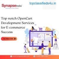 Transform Your E-commerce Store with Custom OpenCart Development Services