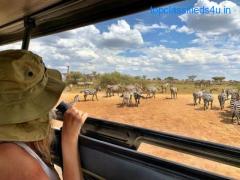 Best time to visit Kenya: All you need to Know 