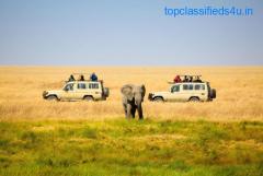 How to Choose a Safari Destination for Your Trip