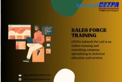 Salesforce Essentials: Comprehensive Training Program